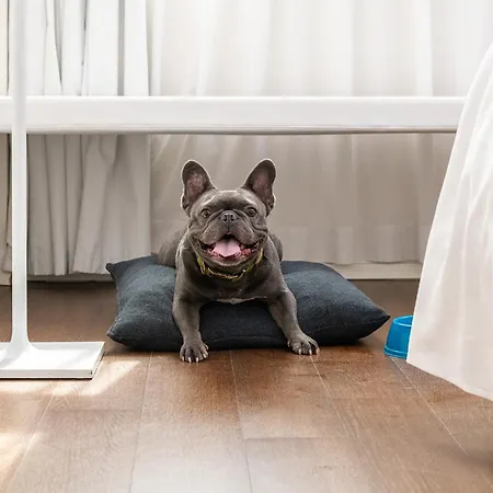 酒店 莫姆酒店 欧吉特奥罗纳